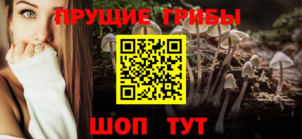 Псилоцибиновые грибы Владикавказ