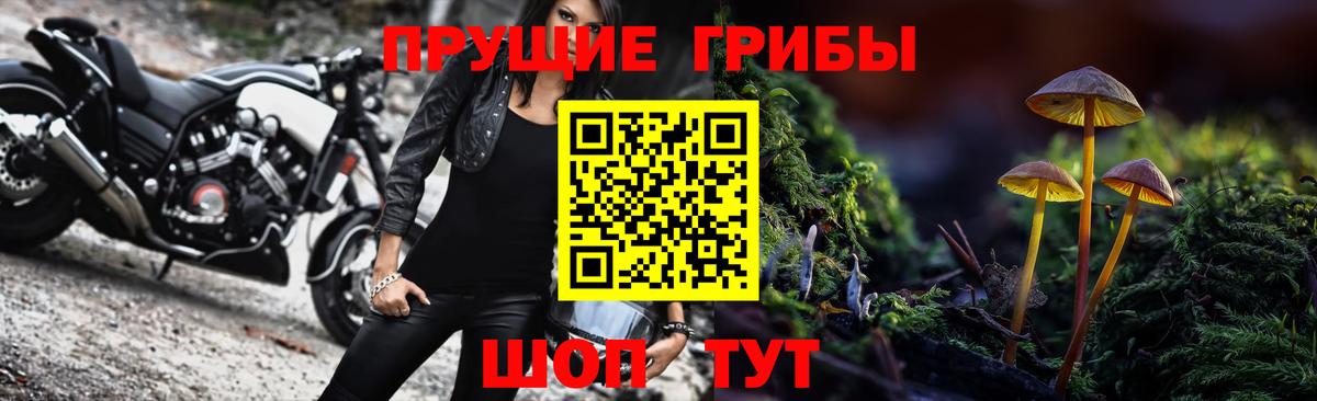 Галлюциногенные грибы Psilocybe  Вход с VPN  Владикавказ 